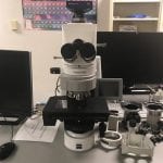 ZEISS Ultra 55 Scanning Electron Microscope